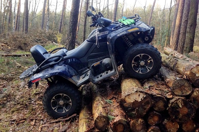 quad-atv-on-logs-atv-insurance